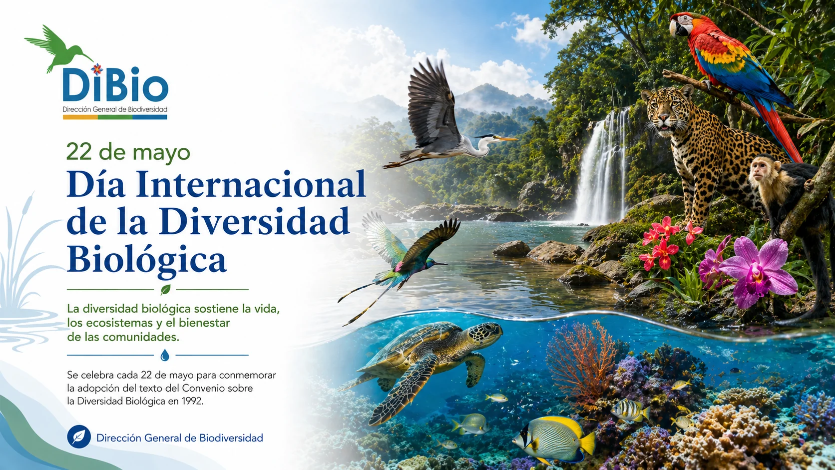 Día Internacional de la Diversidad Biológica